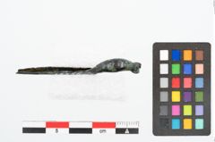 Foto von Bronzebogenfibel (NHMW-PRAE-025756)